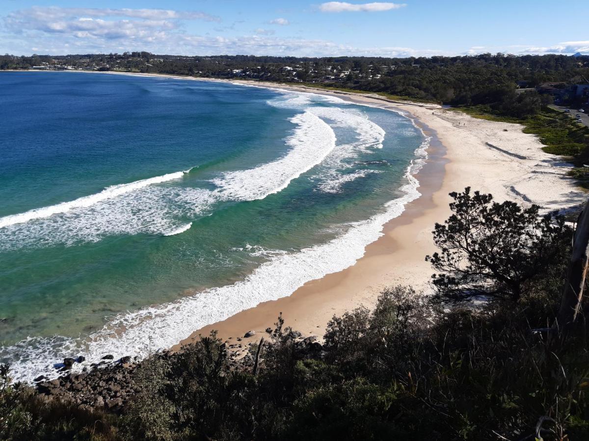 Dolphins Of Motel Mollymook