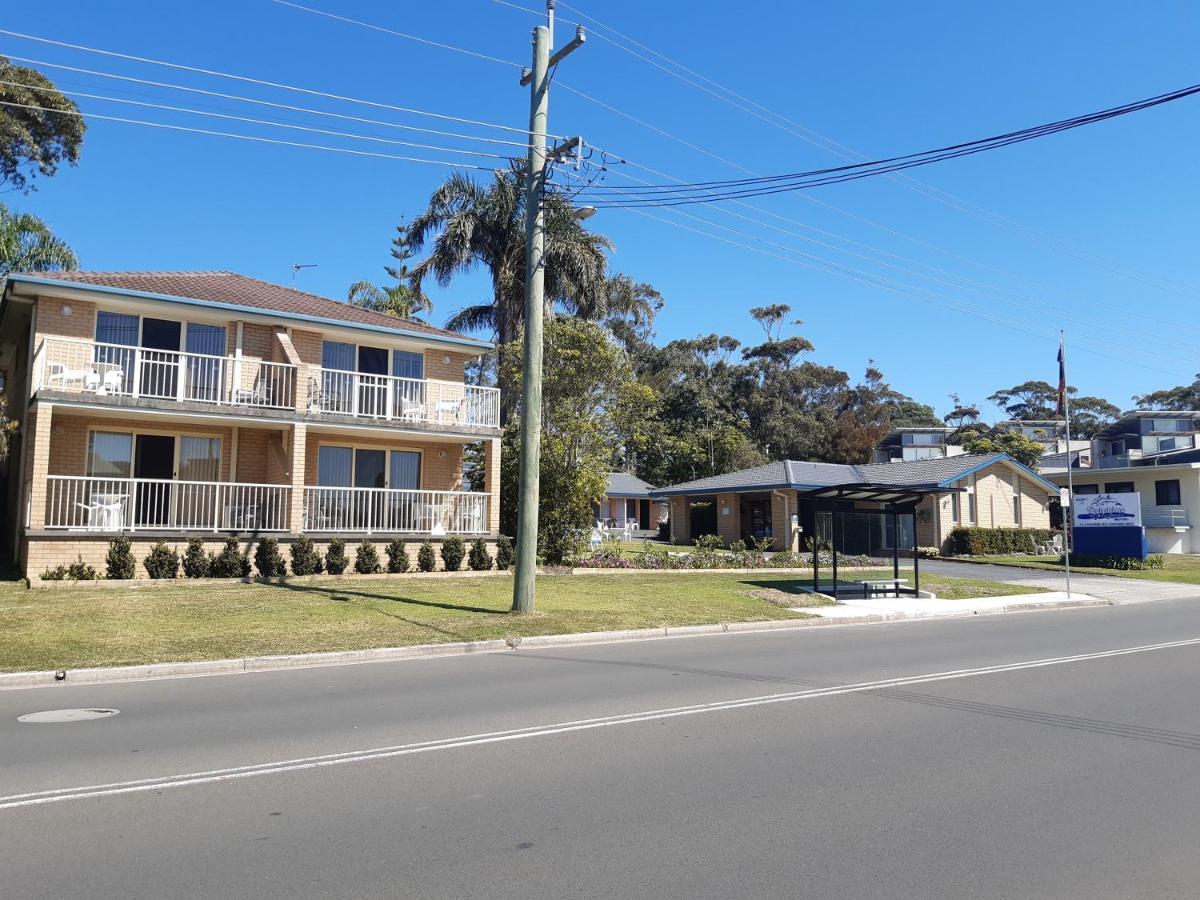 Dolphins Of Motel Mollymook