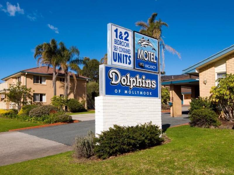 Dolphins Of Motel