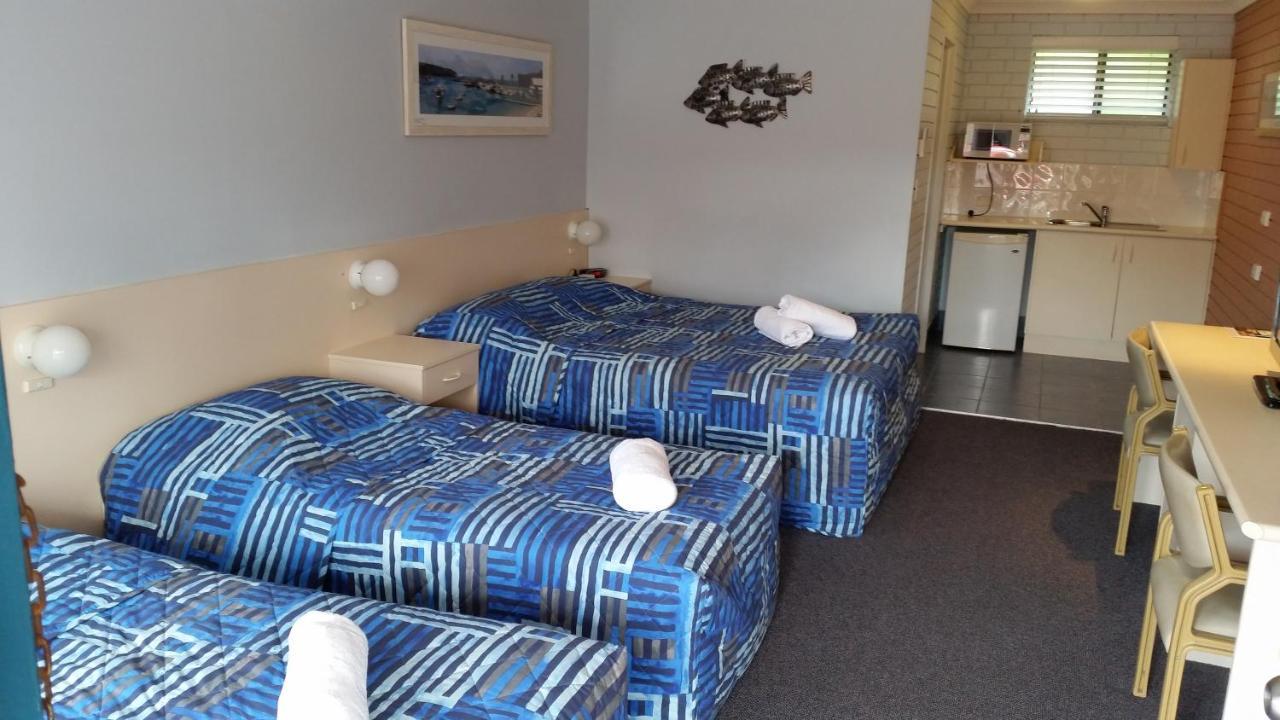 Dolphins Of Motel