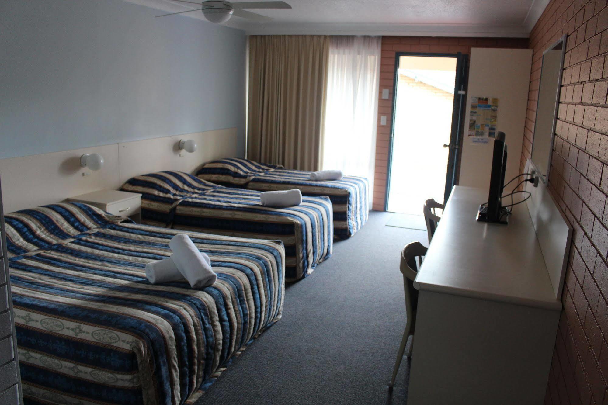Dolphins Of Motel Mollymook