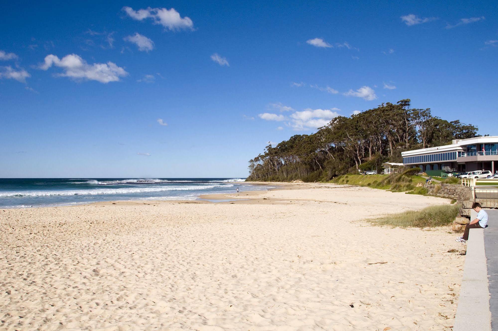 Dolphins Of 3* Mollymook